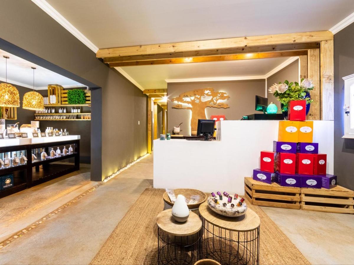 بوتشيفستروم Royal Tree Guest House المظهر الخارجي الصورة